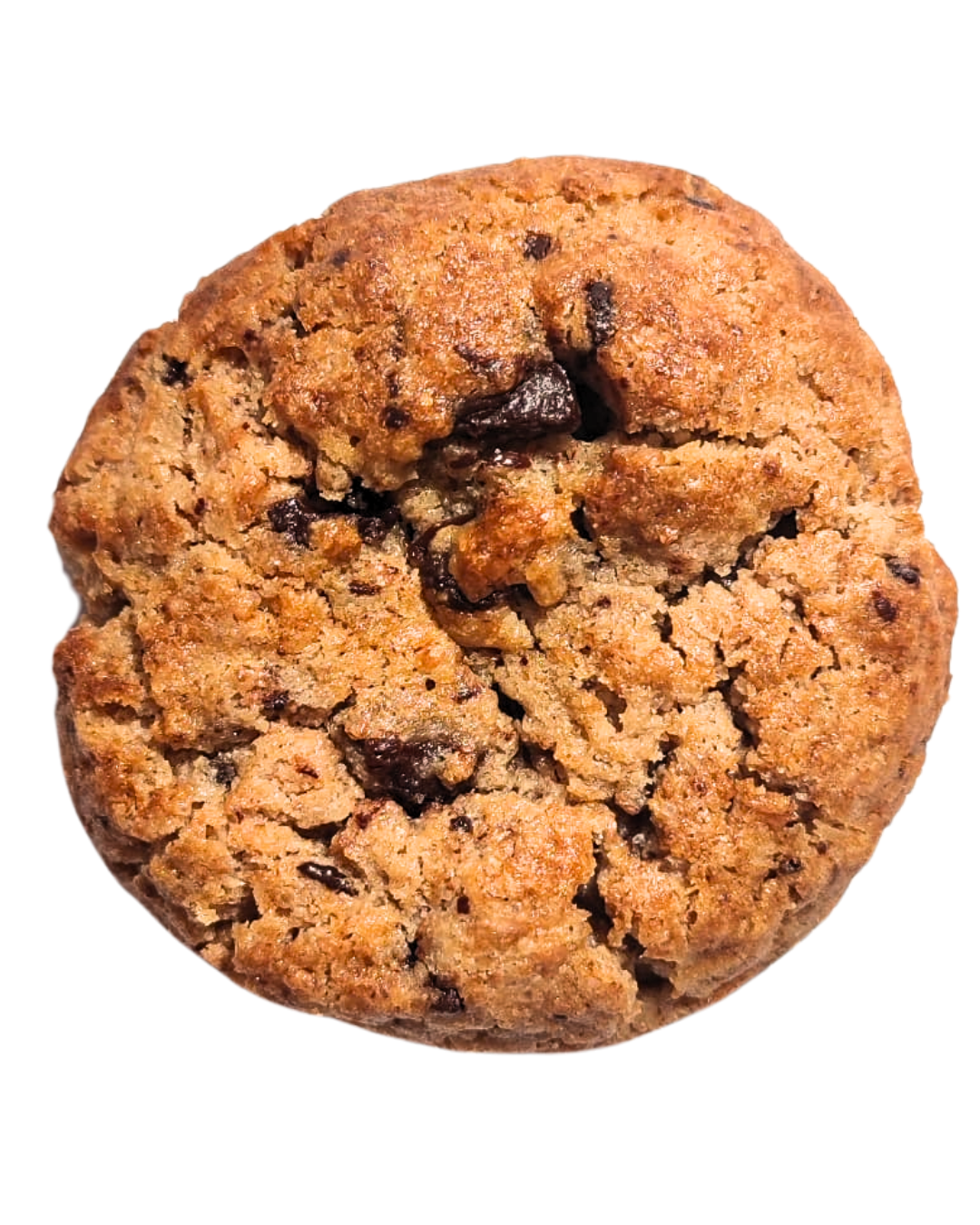 cookiechoconegro